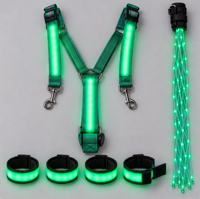 EquiNova™ - Kit LED Complet