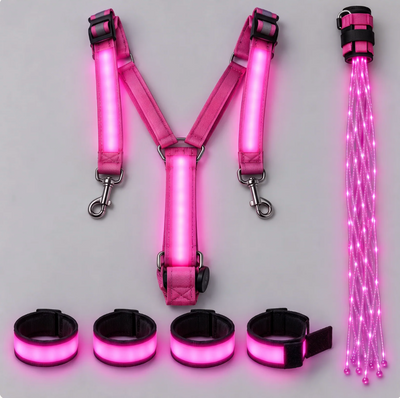 EquiNova™ - Kit LED Complet